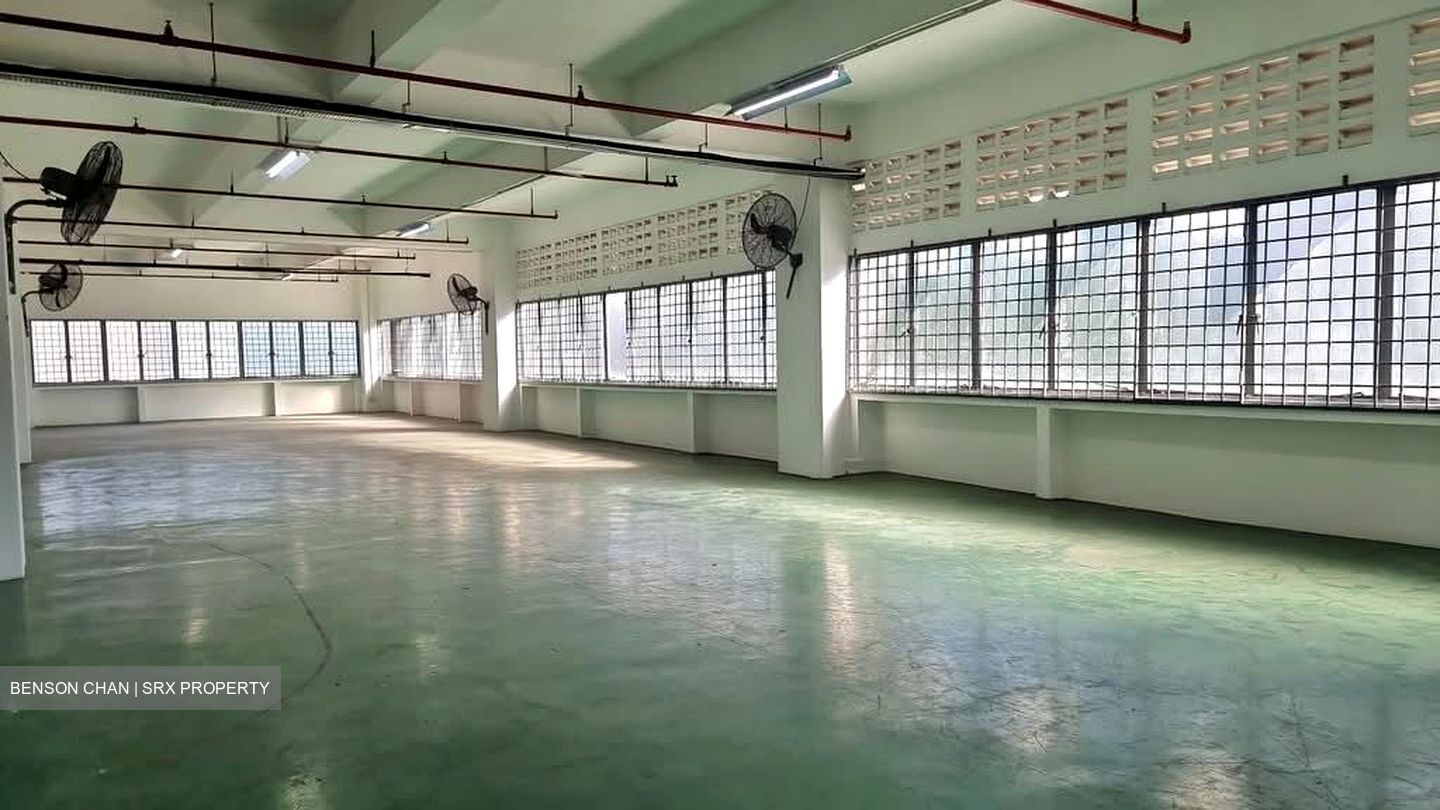 Perfect One (D13), Warehouse #567503851